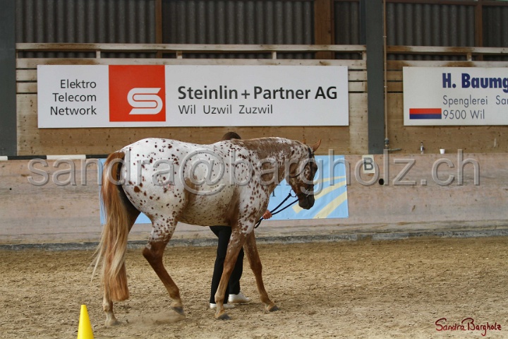 24-ApHC HIH_003.jpg